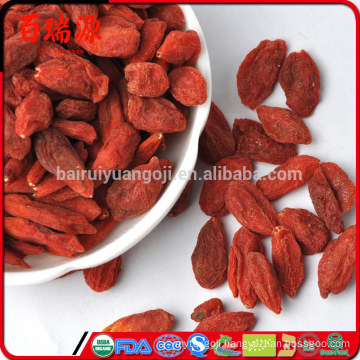 Bacche di goji dove si comprano goji plant goji berries calories